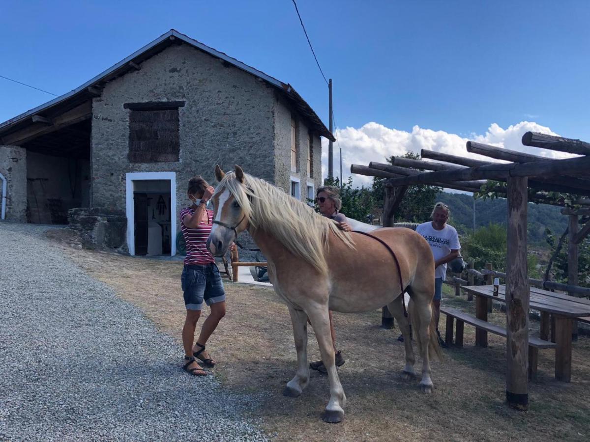 Cascina Merlo Country House Pareto Экстерьер фото